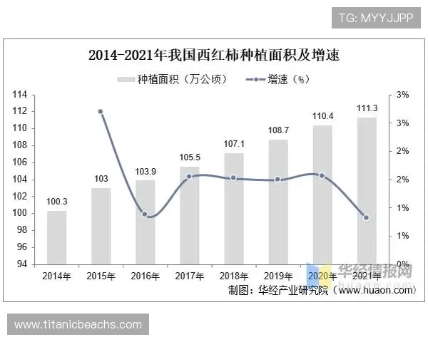 918博天堂平台未来发展规划及创新技术应用前景展望